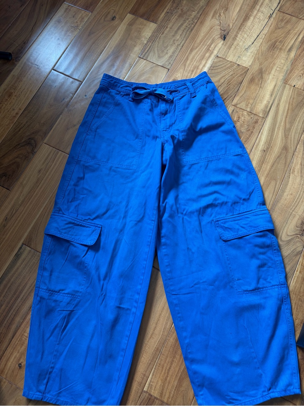Zara blue oversized cargo pants